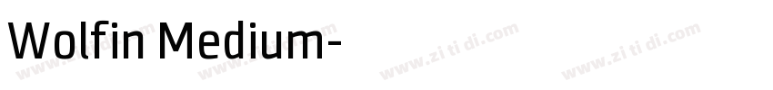 Wolfin Medium字体转换 Wolfin Medium字体转换
